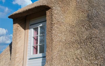 Dundon thatch roof disadvantages