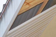 rated Dundon soffit repair companies